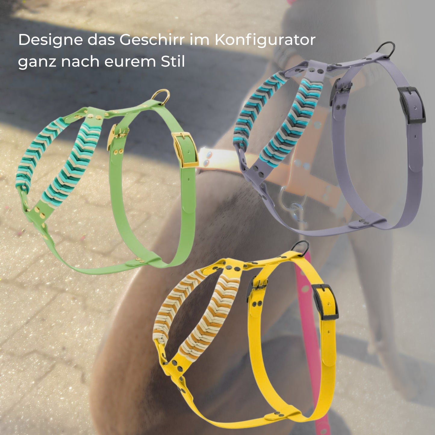 Geschirr aus Biothane mit Paracord
