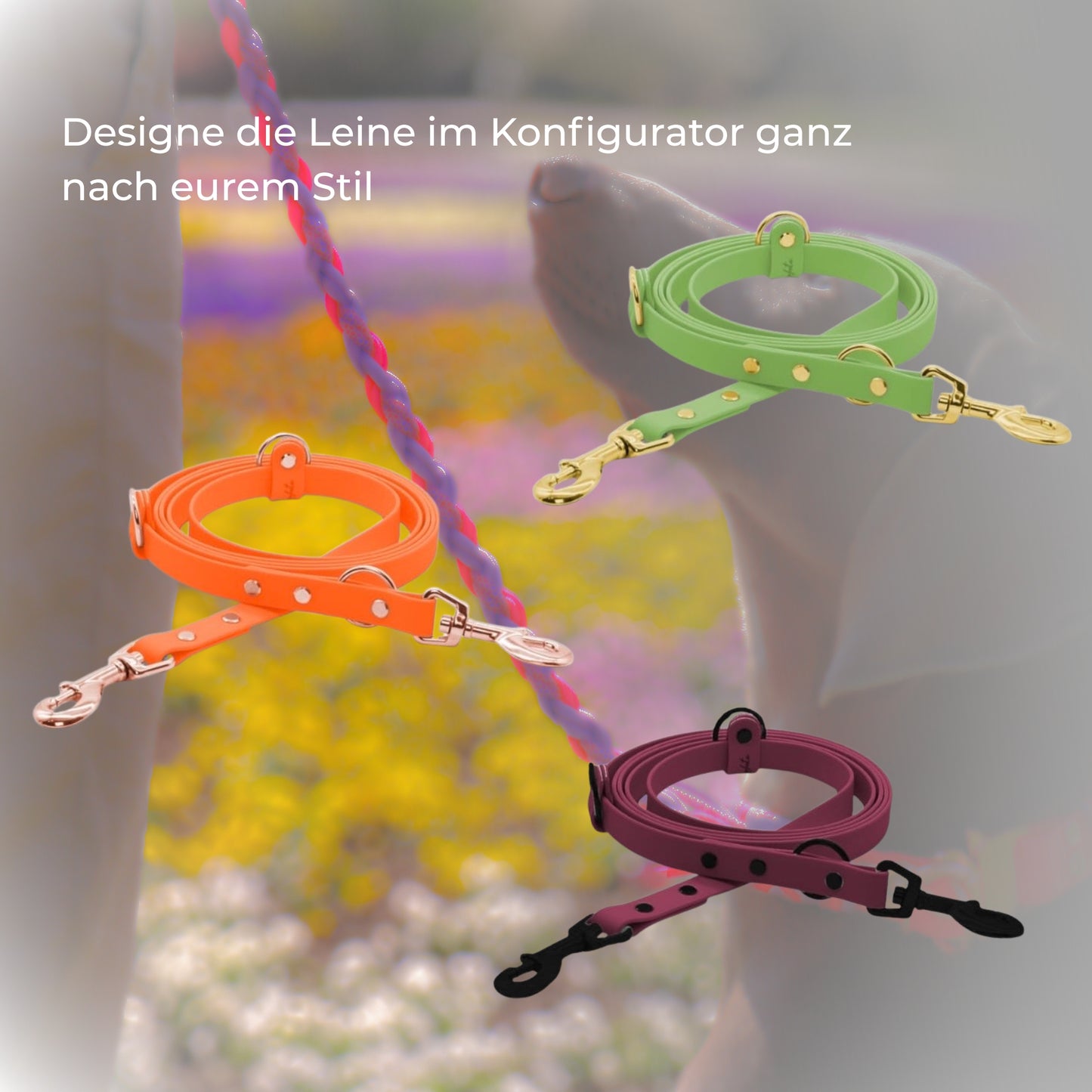 Leine aus Biothane (auch als Schleppleine)