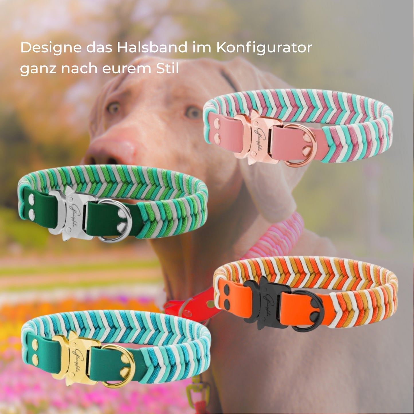 Halsband aus Biothane mit Paracord
