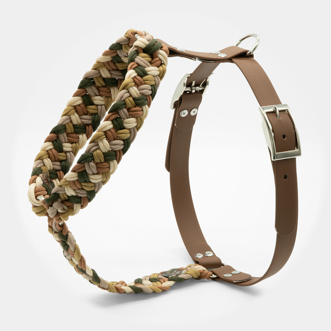 Geschirr aus Biothane und Paracord
