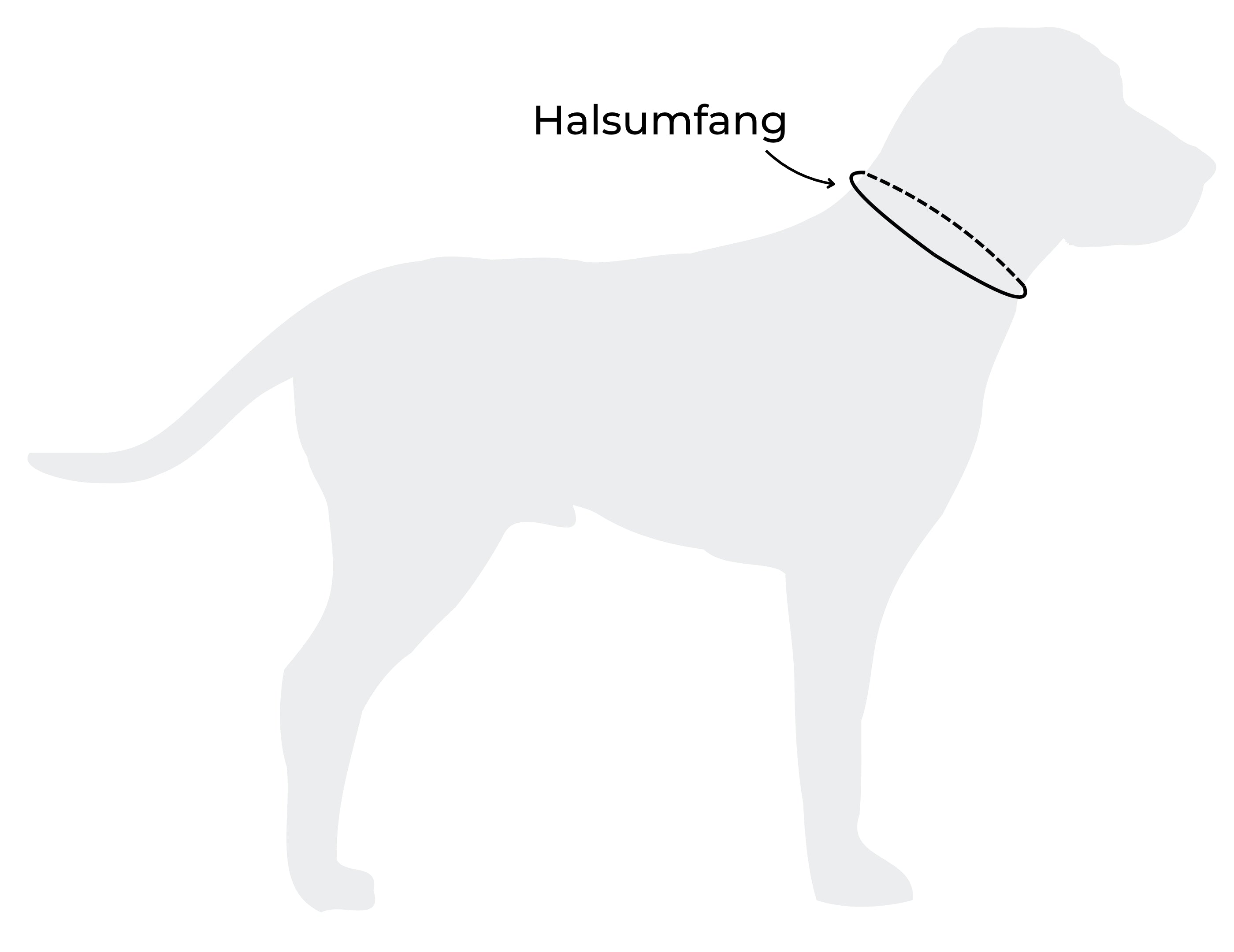 Messanleitung Halsumfang Hund
