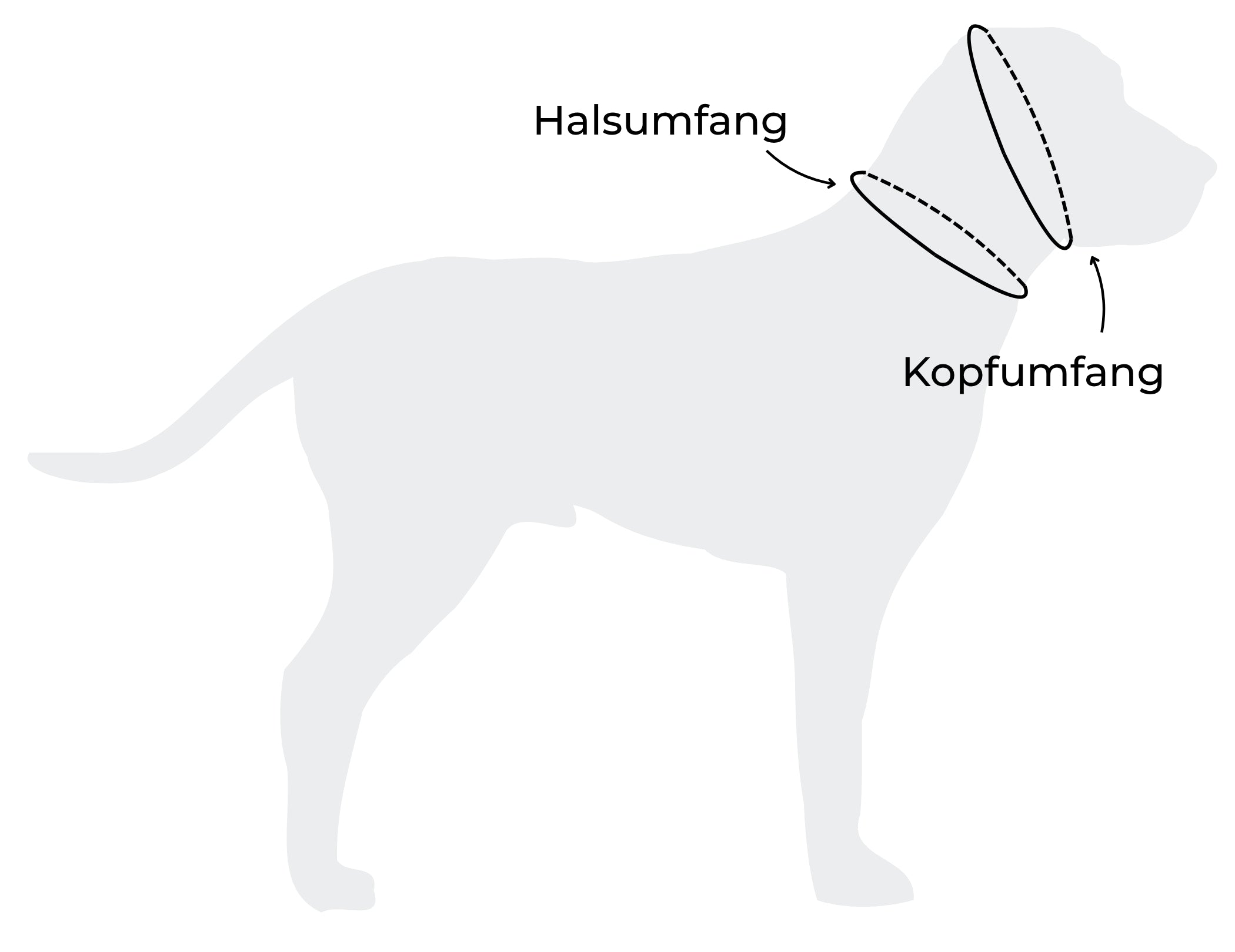 Messanleitung Hals- und Kopfumfang Hund