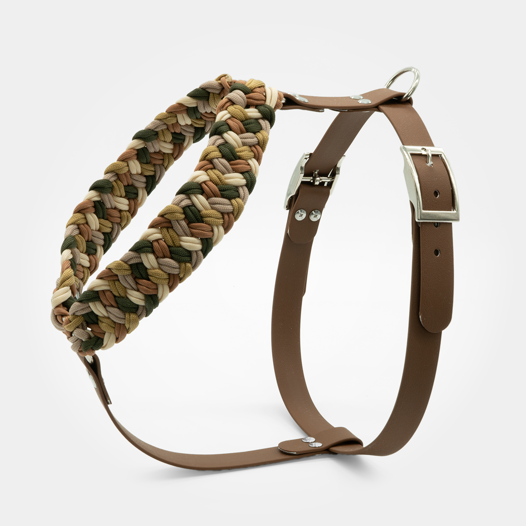 Geschirr aus Biothane und Paracord
