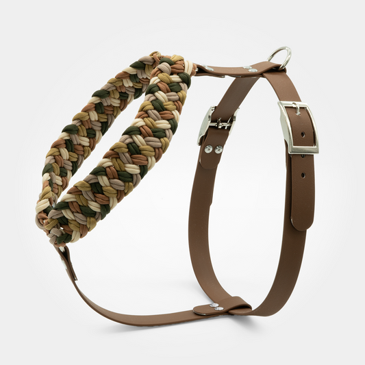 Geschirr aus Biothane und Paracord