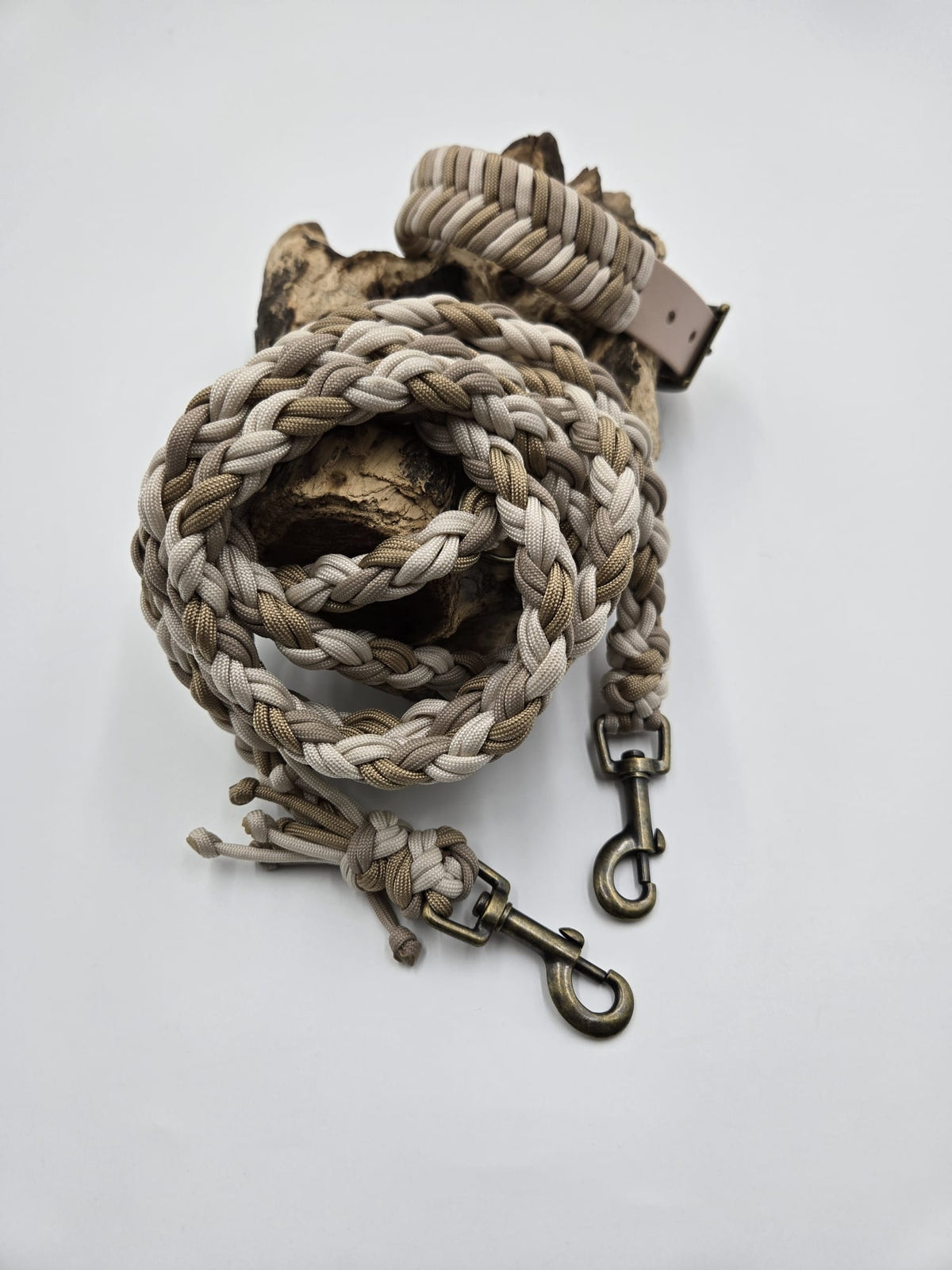 Sofortkauf - Set aus Halsband & Leine 8-fach geflochten – Fischgrätenmuster-Set in Beige & Gold - 25 bis 34 cm - 220 cm