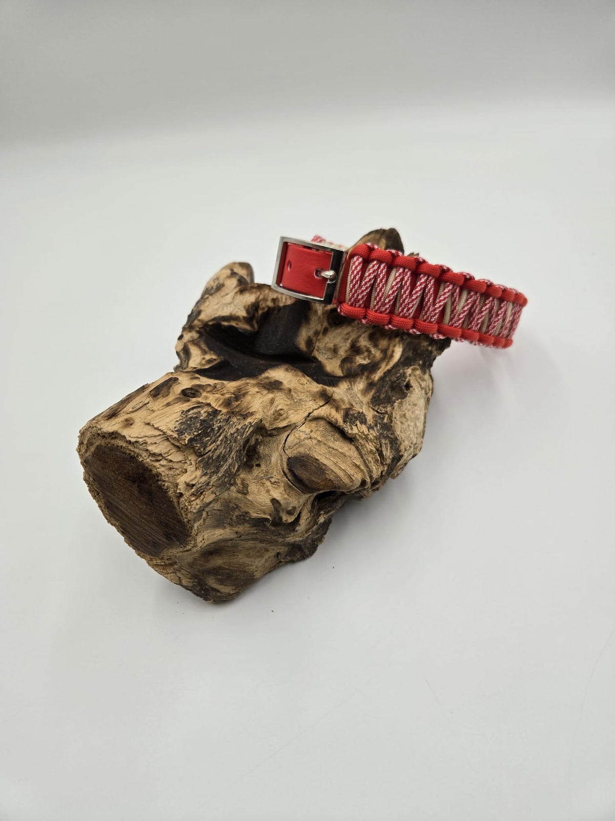 Sofortkauf - Halsband aus beschichtetem Gurtband in Rot mit Cobramuster - 43 bis 49 cm